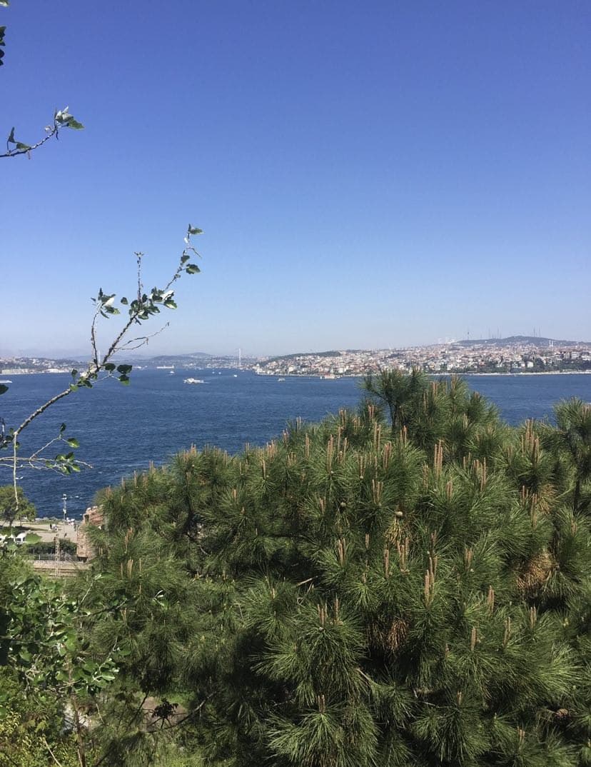 "Завоевать" Константинополь. Лучшие локации Стамбула, которые можно увидеть за уикенд